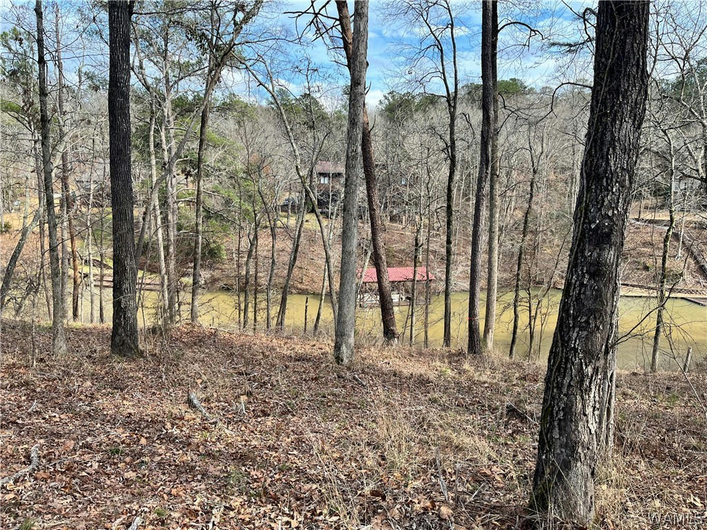 LOT#76 HIGHPOINT COVE, NORTHPORT, AL 35475, photo 1 of 14