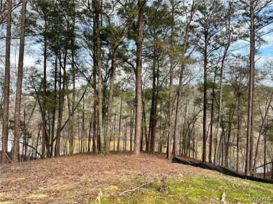 LOT#74 HIGHPOINT COVE, NORTHPORT, AL 35475, photo 4 of 14