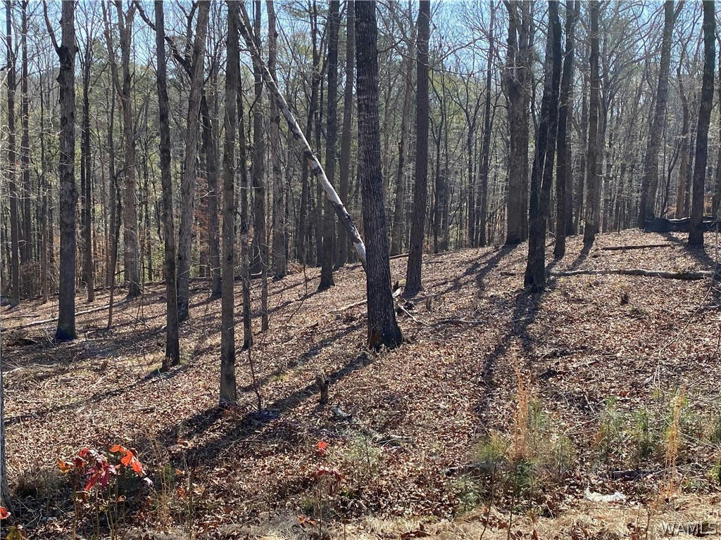 LOT#79 HIGHPOINT COVE, NORTHPORT, AL 35475, photo 1 of 8