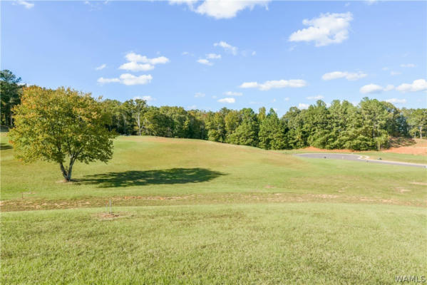 LOT 39 HIGHLAND LAKES POINT, NORTHPORT, AL 35475, photo 5 of 10