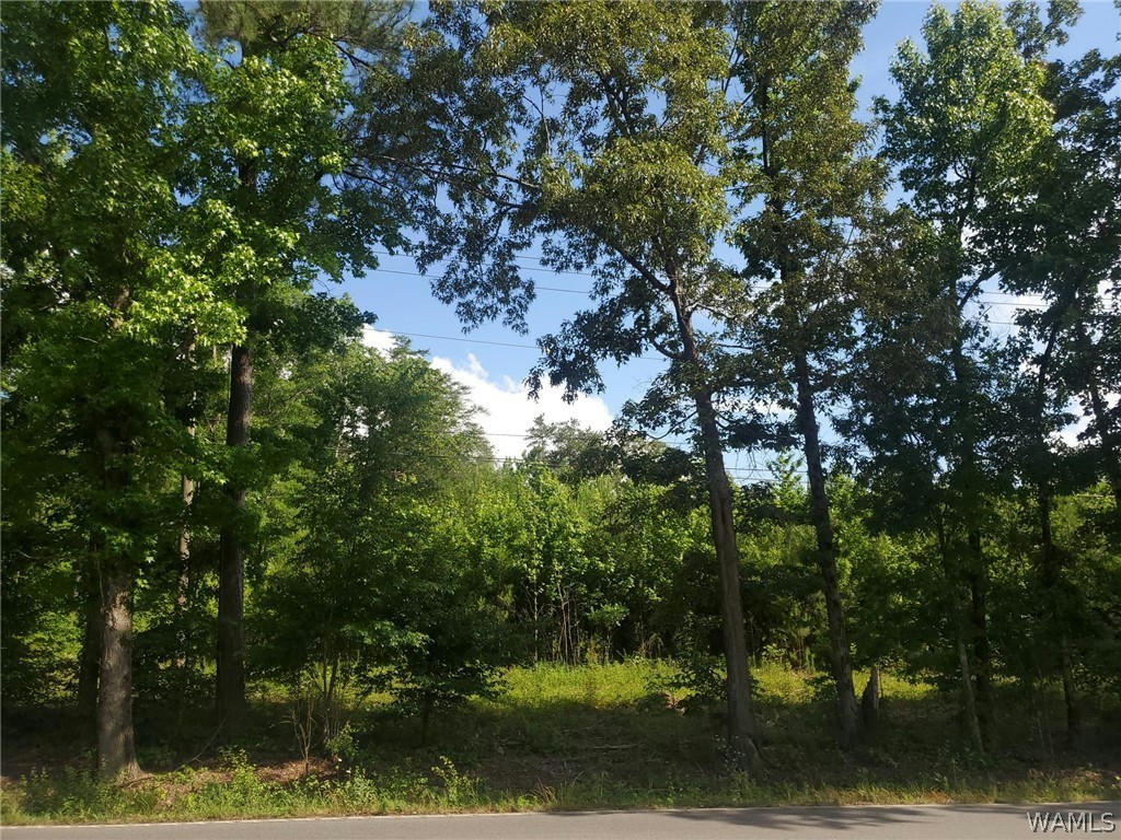 0 HWY 216, MCCALLA, AL 35111, photo 1 of 3