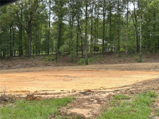 LOT#3 EDGEWATER DRIVE, NORTHPORT, AL 35475, photo 2 of 9