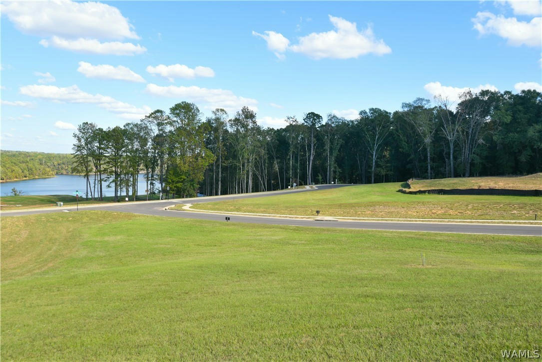 LOT 16 HIGHLAND LAKES CIRCLE, NORTHPORT, AL 35475, photo 1 of 10