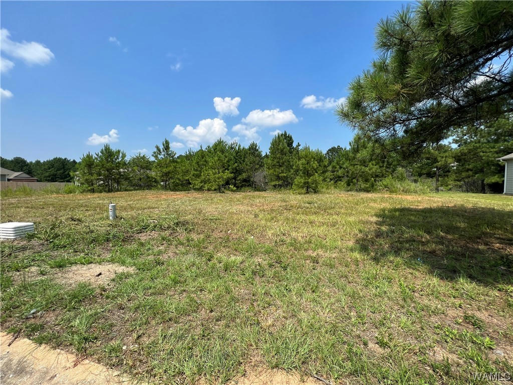 0101 CRIMSON RIDGE RD LOT 101, BROOKWOOD, AL 35444, photo 1 of 2