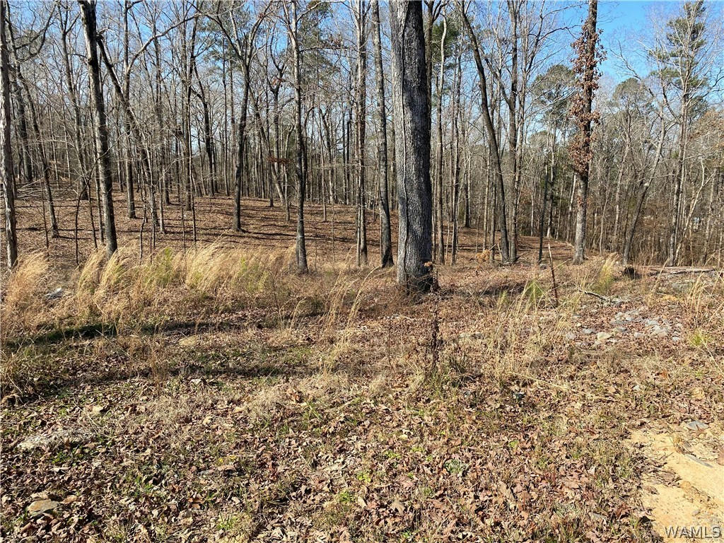 LOT#10 EDGEWATER DRIVE, NORTHPORT, AL 35475, photo 1 of 6