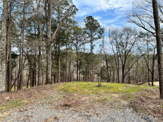 LOT#74 HIGHPOINT COVE, NORTHPORT, AL 35475, photo 3 of 14