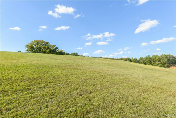 LOT 16 HIGHLAND LAKES CIRCLE, NORTHPORT, AL 35475, photo 2 of 10