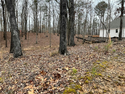 LOT#3 EDGEWATER DRIVE, NORTHPORT, AL 35475, photo 5 of 9