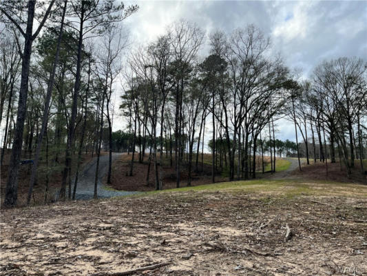 LOT#76 HIGHPOINT COVE, NORTHPORT, AL 35475, photo 5 of 14