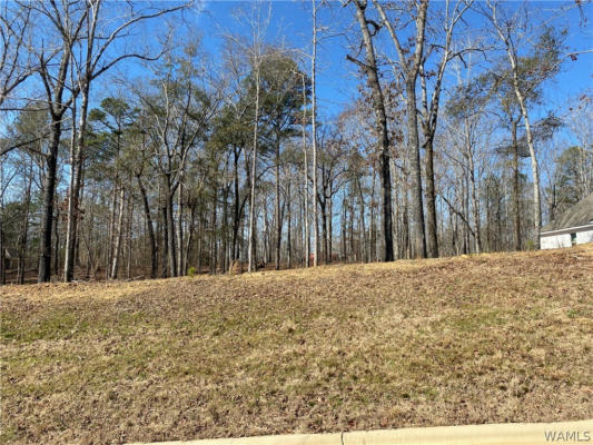 LOT#3 EDGEWATER DRIVE, NORTHPORT, AL 35475, photo 3 of 9