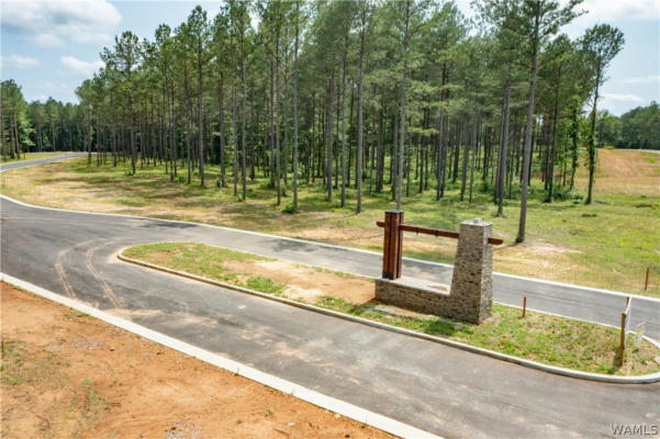 LOT 9 NORTHSIDE ROAD, BERRY, AL 35546 - Image 1