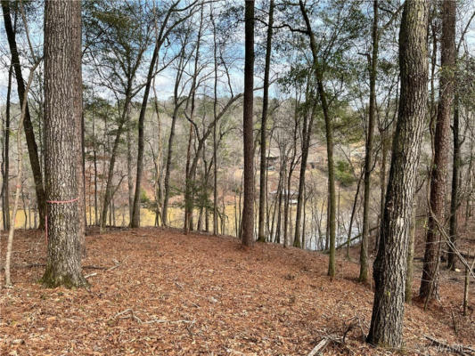 LOT#74 HIGHPOINT COVE, NORTHPORT, AL 35475 - Image 1