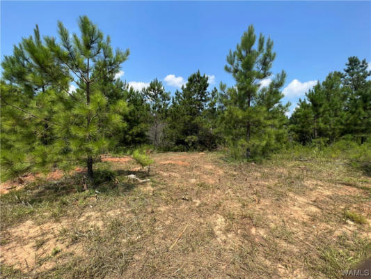 0101 CRIMSON RIDGE RD LOT 101, BROOKWOOD, AL 35444, photo 2 of 2